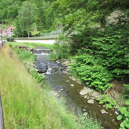 Harz Haennig 2 Walkenried