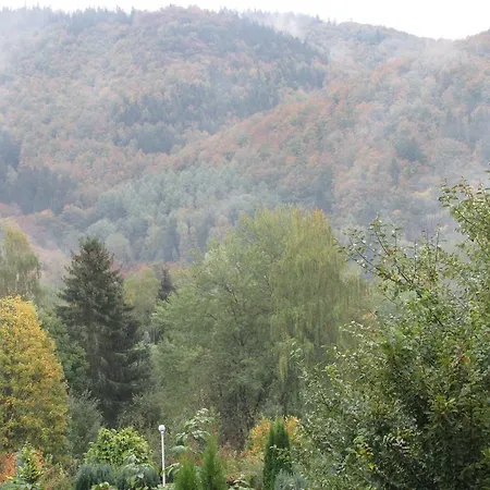 Harz Haennig 2 Walkenried