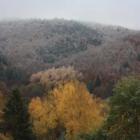 Apartament Harz Haennig 2