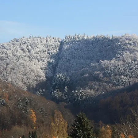 Διαμέρισμα Harz Haennig 2 *