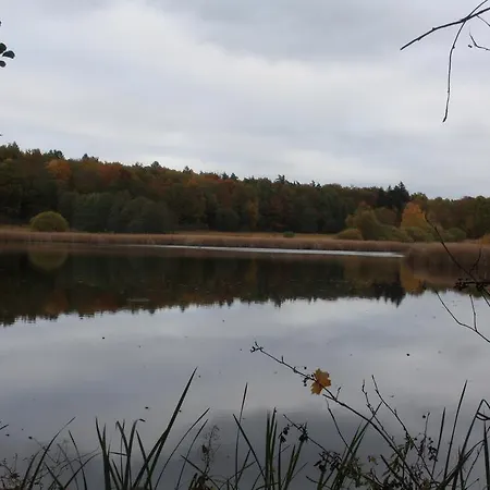 Harz Haennig 2