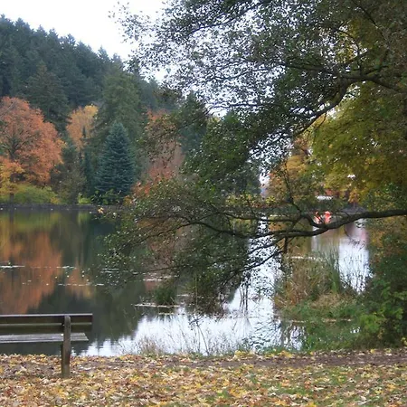 Harz Haennig 2