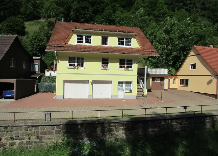 Daire Harz Haennig 2