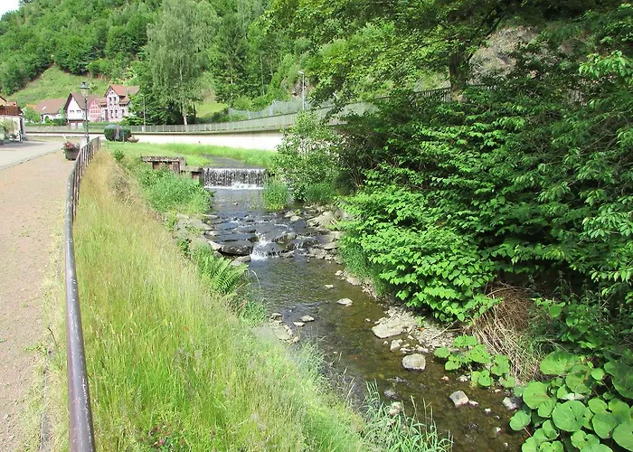Harz Haennig 2 Walkenried