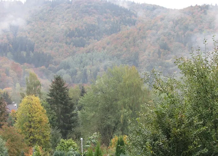 Harz Haennig 2 Walkenried