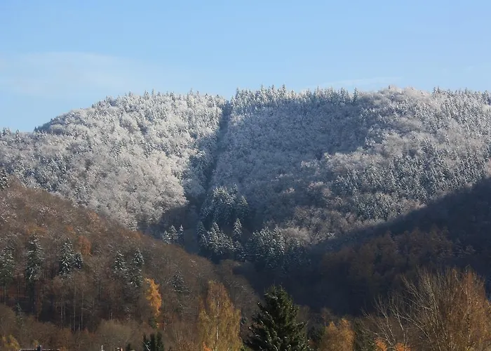 Daire Harz Haennig 2 *