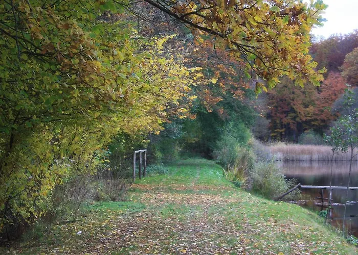 公寓 哈兹哈因尼格2号公寓 *